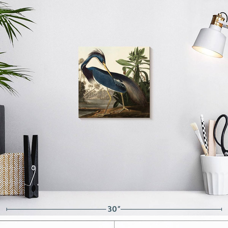 Brampt Louisiana Heron, 10" H x 10" W