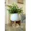 Plante de feuillage artificiel 6" en pot