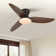 Karlena Ceiling Fan with LED Lights and Remote Control