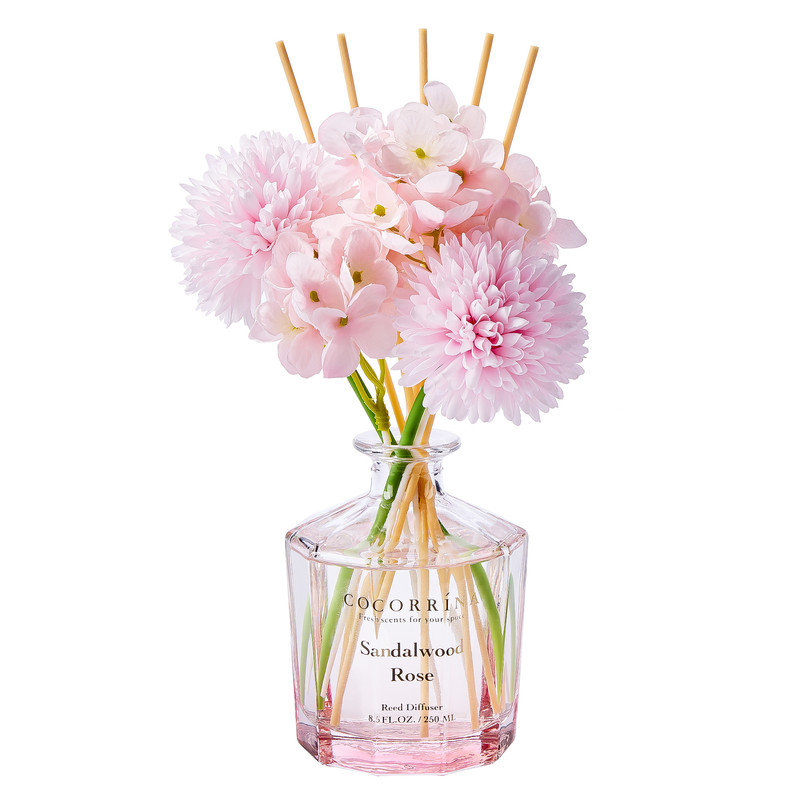  Ensemble de diffuseur à roseaux de 8,5 oz avec 8 bâtonnets, parfum de décoration durable pour toute pièce intérieure
