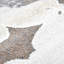 Pang Floral Shag Area Rug-1610642382
