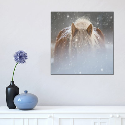 Collection Of Horses V by PHBurchett - Wrapped Canvas Print
