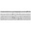 4 x 12 Bianco Carrara Marble Tile