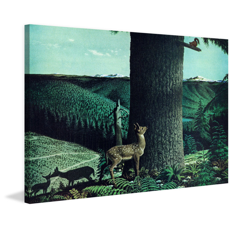 Fawn And Squirrel - Wrapped Canvas Print, 30cm H x 45cm W x 3.81cm D