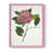 Rose n'est pas disponible