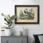 Audubons Louisiana Heron, toile encadrée de qualité supérieure - prête à être accrochée-1984957957