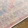 Jazive Oriental Indoor Rug