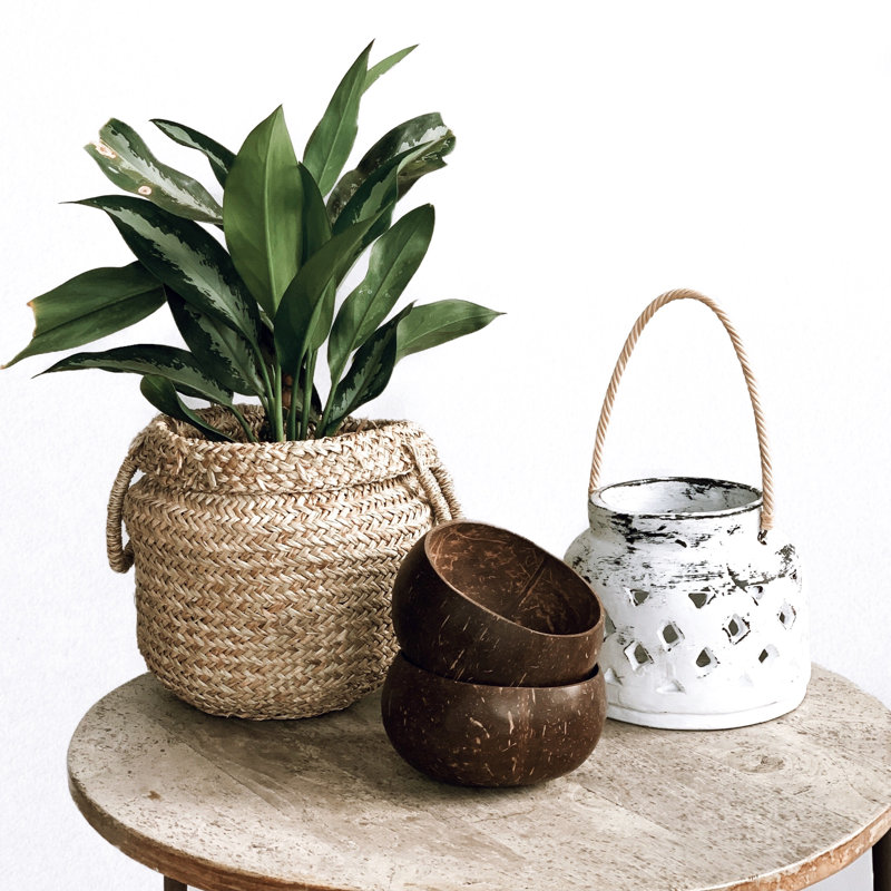 Mulkey Coconut Bowl - Set 4