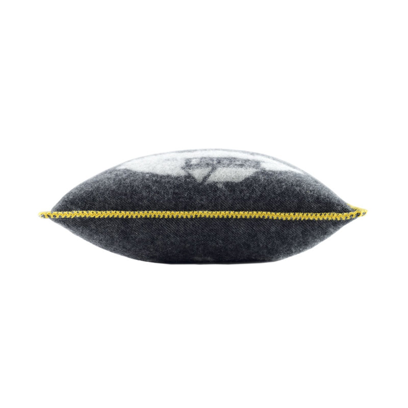 Cushion