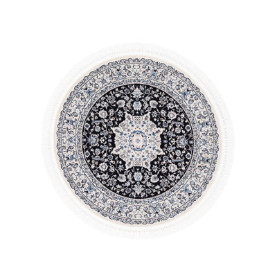 Oriental Area Rug