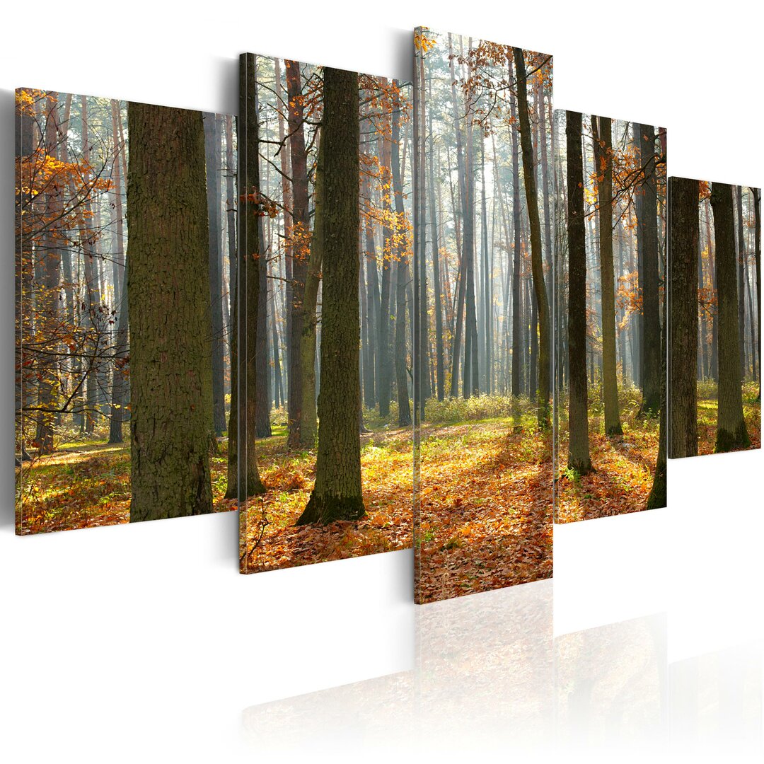 5-tlg. Leinwandbilder-Set A Nice Forest Landscape