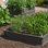 Raised Garden Bed (1 Bed, No Enclosure)