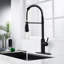 Blue Elephant Pull Down Kitchen Faucet-1563169466