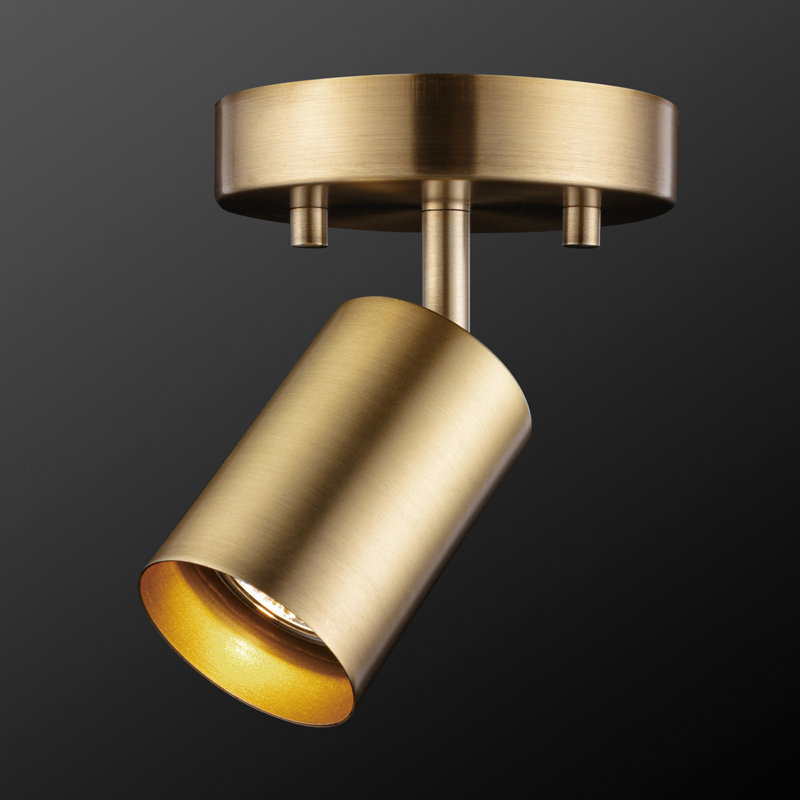 Ulverst Matte Adjustable Track Lighting Head, Brass