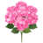 Rose vif est en rupture de stock