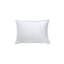 Luxe Lumbar Pillow Cover & Insert-72109763-88966286