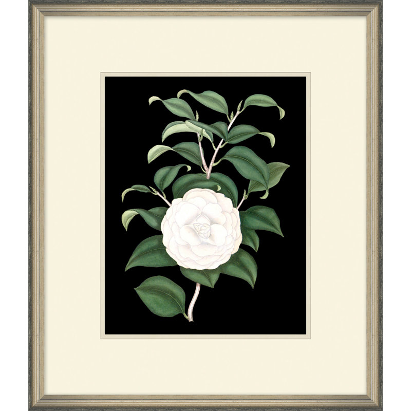 White Floral On Black 4 Painting