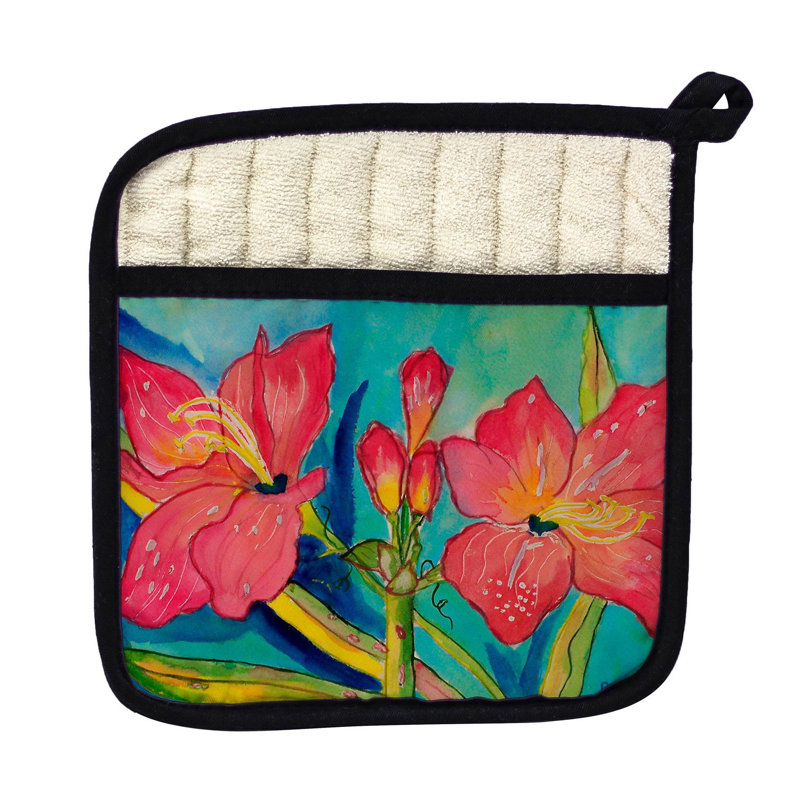 Cuisinier poignée amaryllis intérieure betsy drake