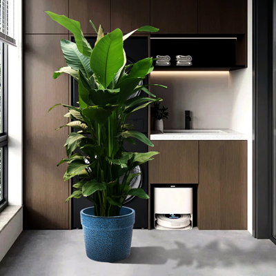 Pot à fleurs en céramique 3 pièces, pot moderne pour patio, jardin