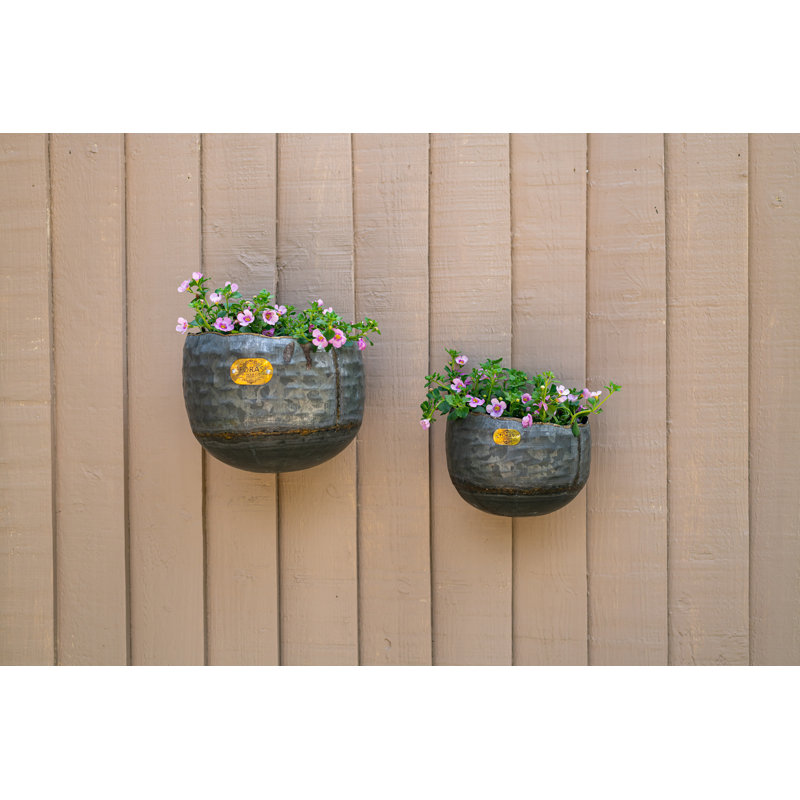 Euan Metal Wall Planter