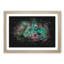 Sting Ray Paint Splash - Picture Frame Graphic Art-62806488-62806502