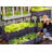 Aarib Elevated Planter