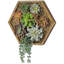 Ensemble de 9 plantes succulentes artificielles dans un pot à fleurs