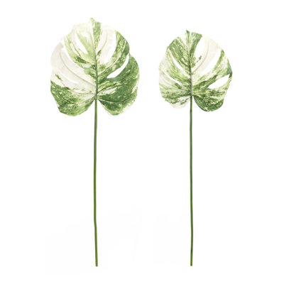 Philo Stems, Bushes, and Sprays