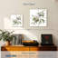 Branche d'olive fraîche Harnek I