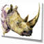 Rhinoceros-reproduction d’art-29495636-34992753