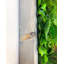 106cm Plant-313620036