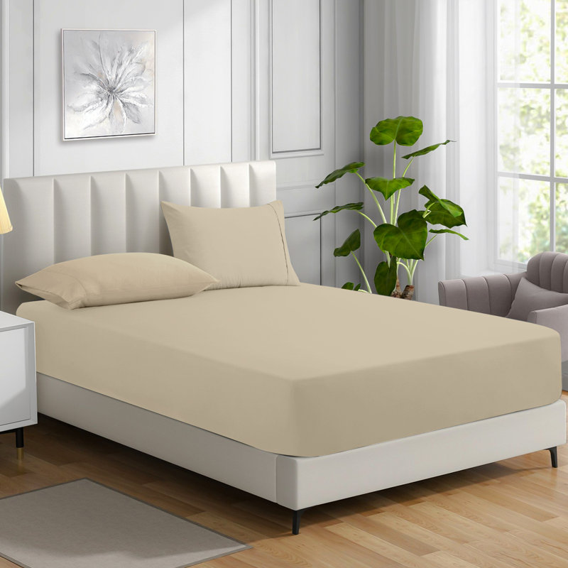 Cotton Blend Percale Fitted Sheet, Single (3'), Cream