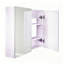 W H Medicine Cabinet Mirror