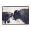 Photographie buffalo-43719316-43719323
