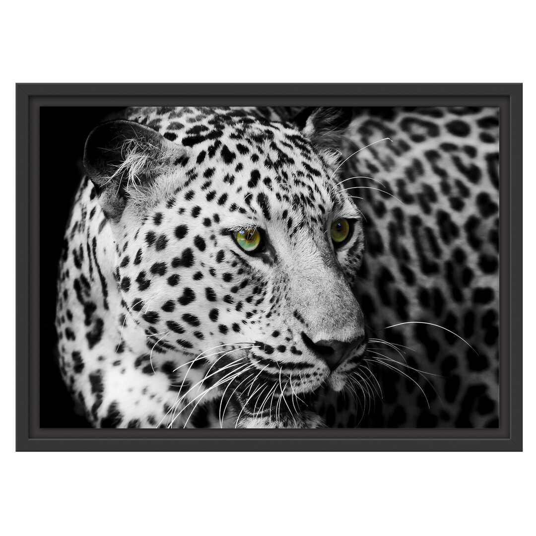 Gerahmtes Wandbild Dark Leopard mit grünen Augen