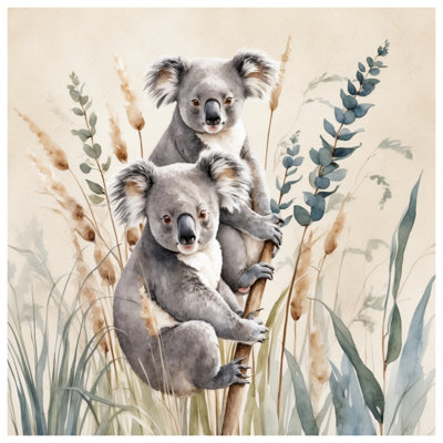 Édredon Koalas On Branch