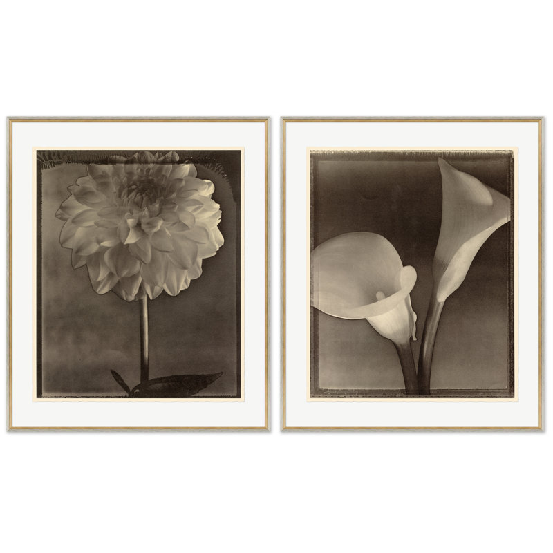 Sepia Flowers 5 Print