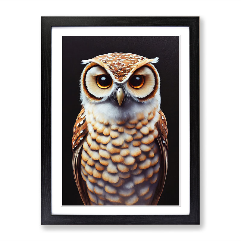 Admirable Owl - Framed Print, Black Framed, 46cm H x 34cm W x 2cm D