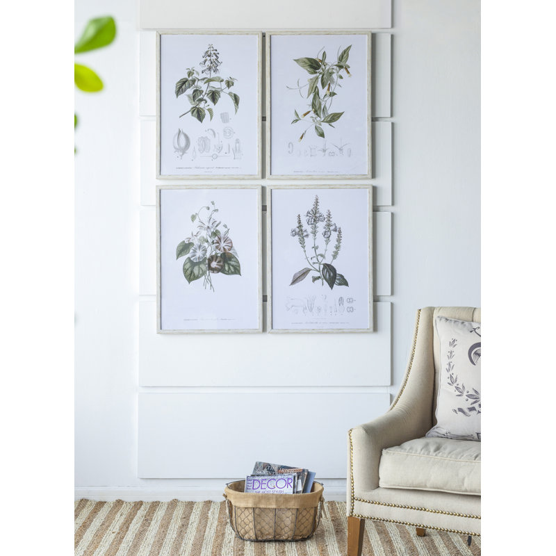 Botanical - Picture Frame Print Set