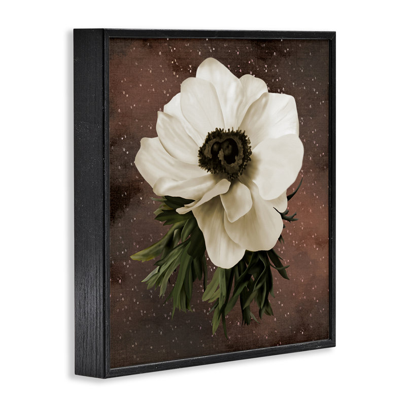 Anémone sur giclée brune encadrée, design par Jennifer Stith, Giclée encadrée noir minuit, H 12 po x l 12 po