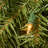 Norwood Fir Garland with Clear Lights-1197337867