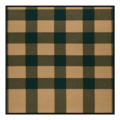 Machine Washable Checkered Brown Area Rug