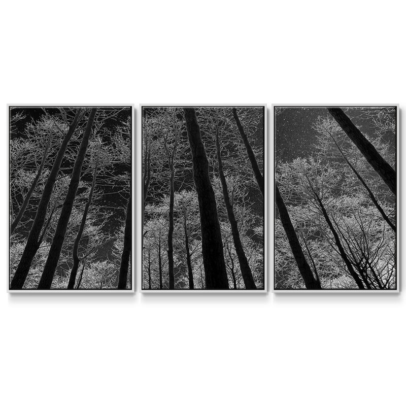 Ciel nocturne encadré sur toile, 3 pièces, H 36 po x l 75 po x P 2 po, Blanc