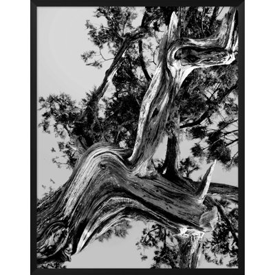 The Blues 1 Print by Mat Sanders