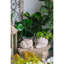 8,3 x 7 x 4,7 pouces beige texturé beige sable et ciment pot de fleurs pour la décoration côtière avec des plantes mélangées traînant des arrangements de plantes