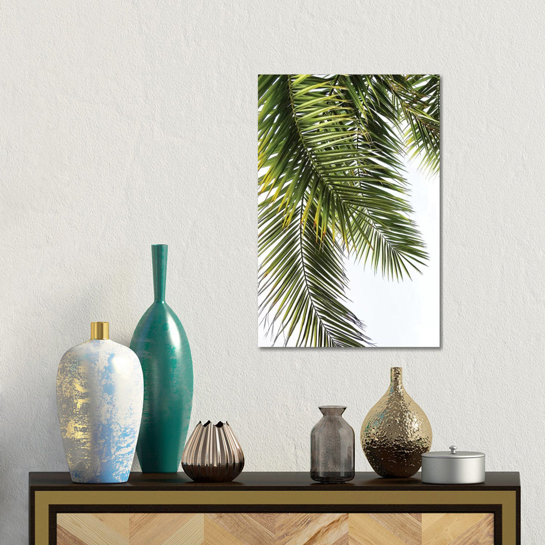 'Palm Leaves' Photograph on Wrapped Canvas