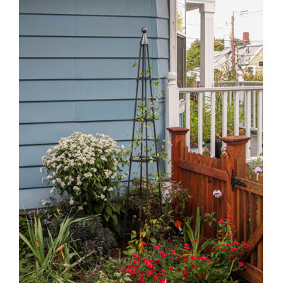 Alarcon-Chacon 84'' H x 13'' W Iron Obelisk Trellis