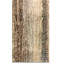 Tapis vert / écume de mer / rouille nouvel âge 4 pi 3 po x 6 pi 1 po Gabbeh