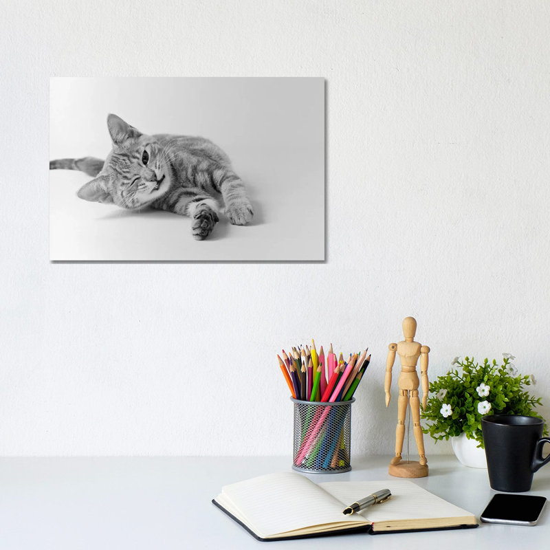 1970s Head On View Of Young Striped Cat Stretching For On Floor One Eye Closed Indoor - Wrapped Canvas Print