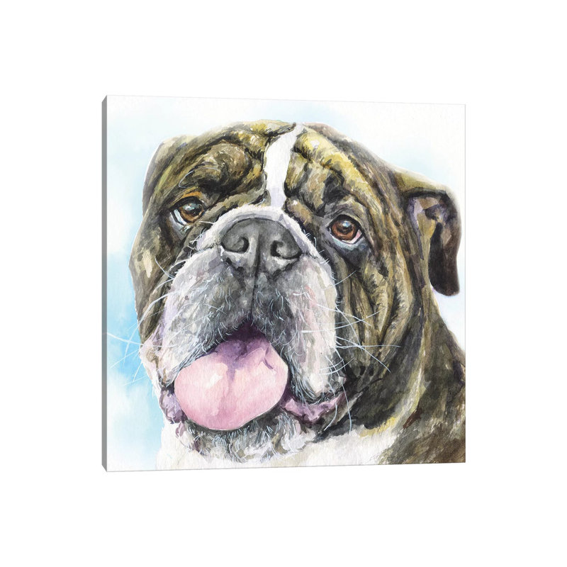 English Bulldog I by George Dyachenko - Wrapped Canvas Painting, 30.48 cm H x 30.48 cm W